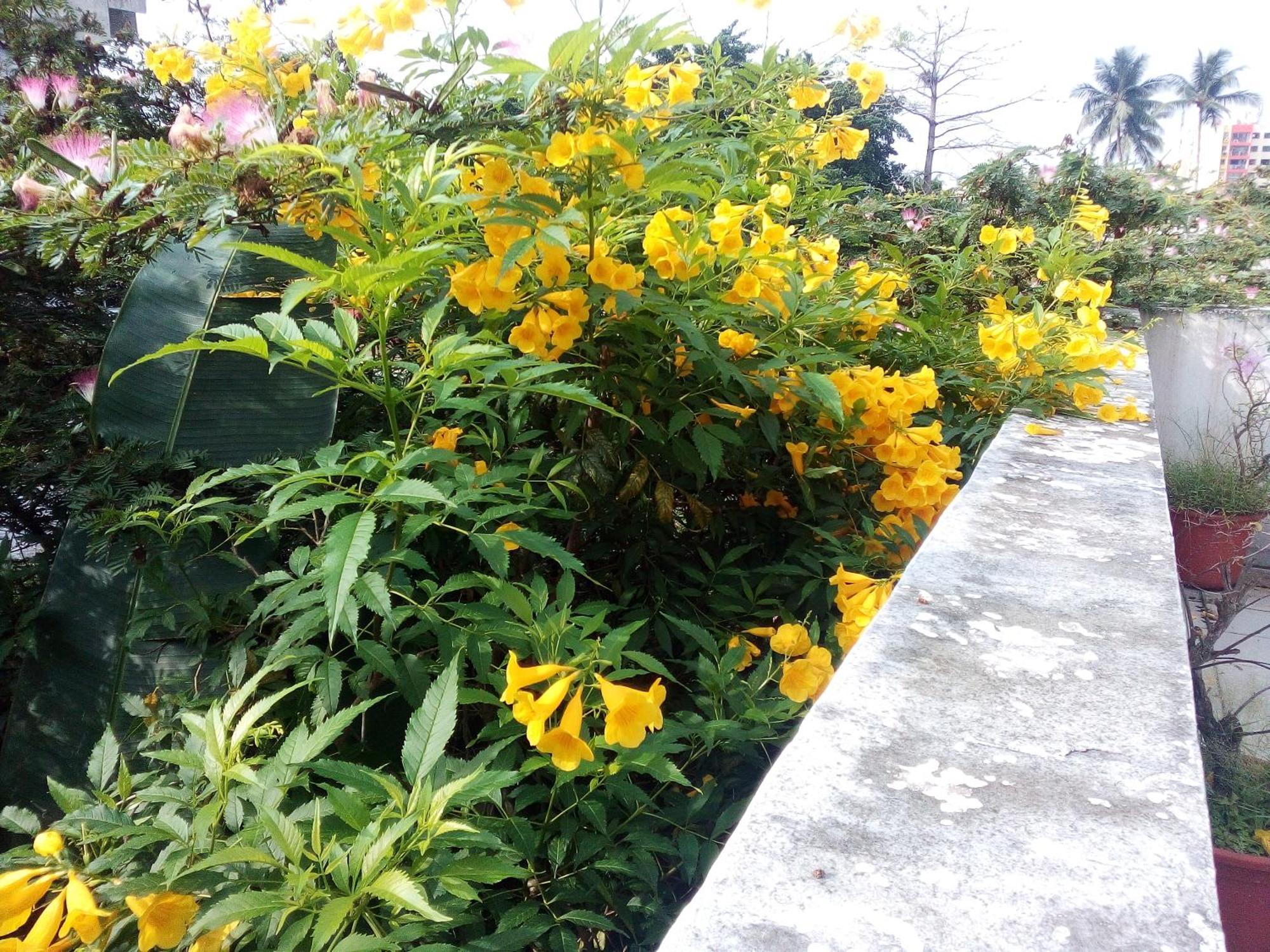 芒果别墅酒店 阿比让 外观 照片